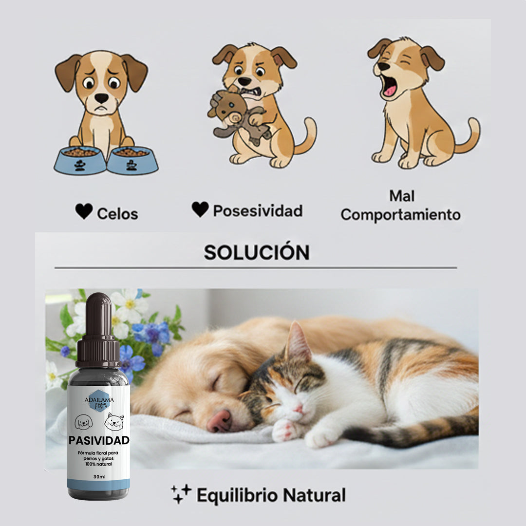 Flores de Bach Pasividad para Perros y Gatos – Controla Agresividad, Nervios y Apego