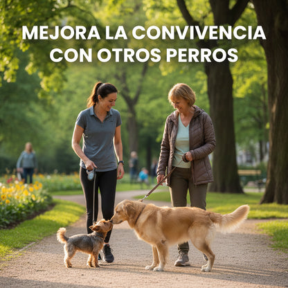 Flores de Bach Pasividad para Perros y Gatos – Controla Agresividad, Nervios y Apego