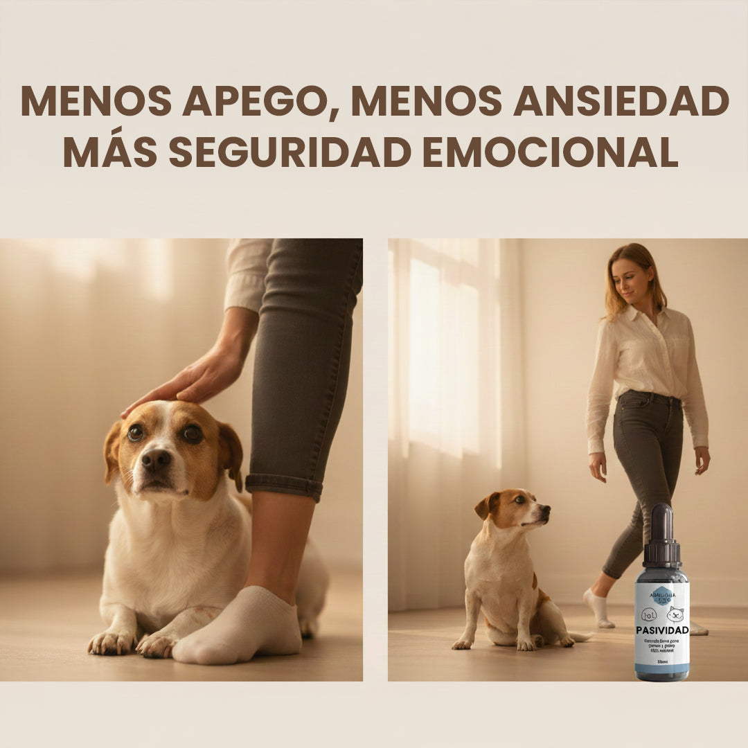 Flores de Bach Pasividad para Perros y Gatos – Controla Agresividad, Nervios y Apego