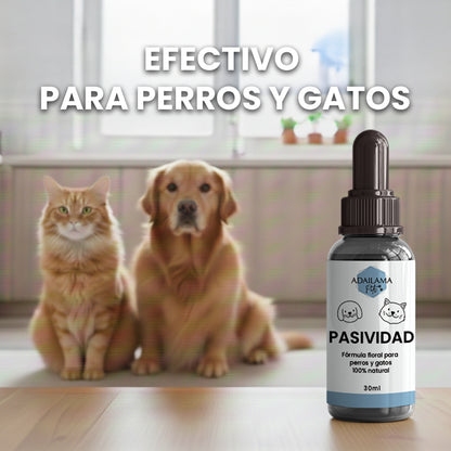 Flores de Bach Pasividad para Perros y Gatos – Controla Agresividad, Nervios y Apego