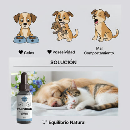 Flores de Bach Pasividad para Perros y Gatos – Controla Agresividad, Nervios y Apego
