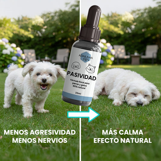 Flores de Bach Pasividad para Perros y Gatos – Controla Agresividad, Nervios y Apego